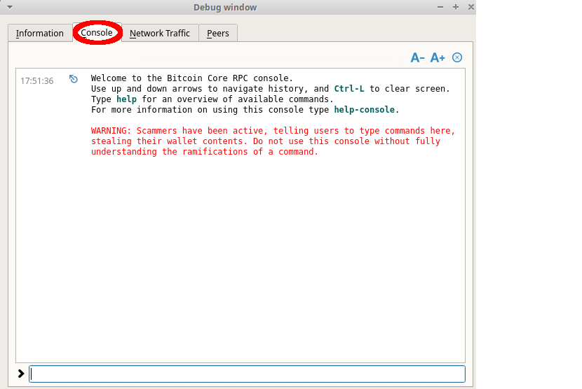 Fig. 5. Information page in debug window.